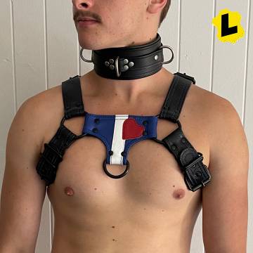 Leather Pride Bulldog Harness